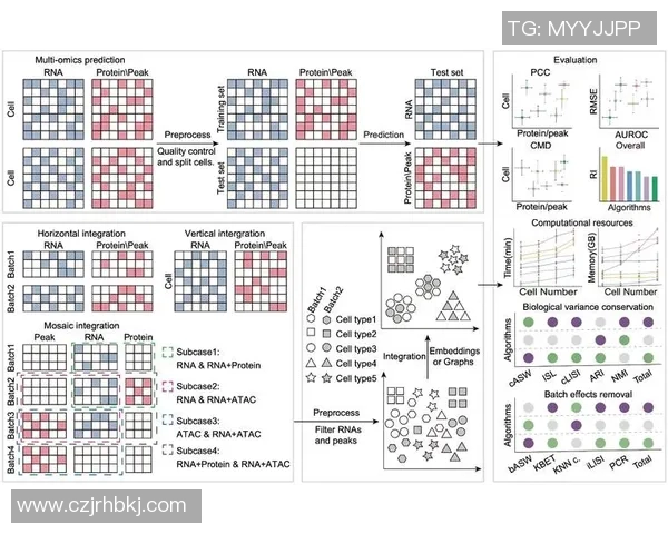 数据分析视角下FPX团队协作表现的深度探讨与评估 数据分析视角下FPX团队协作表现的深度探讨与评估